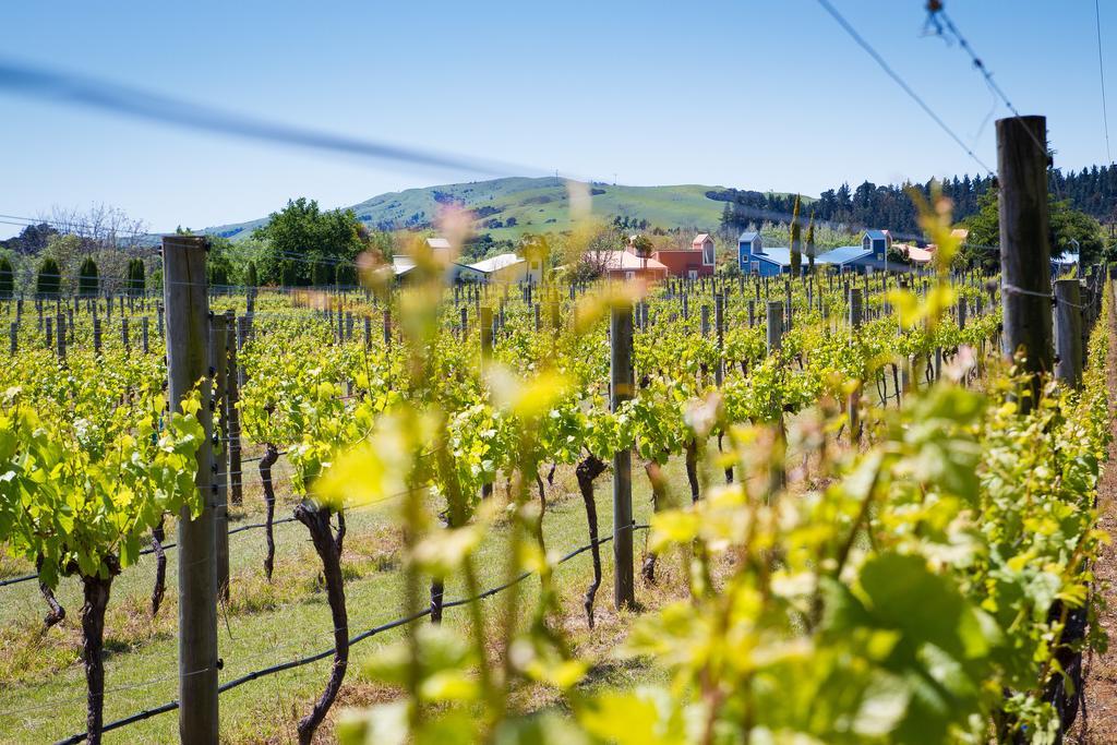Margrain Vineyard Villas Martinborough Exterior photo