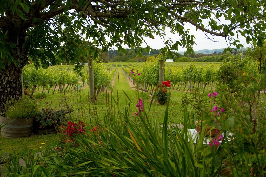 Margrain Vineyard Villas Martinborough Exterior photo
